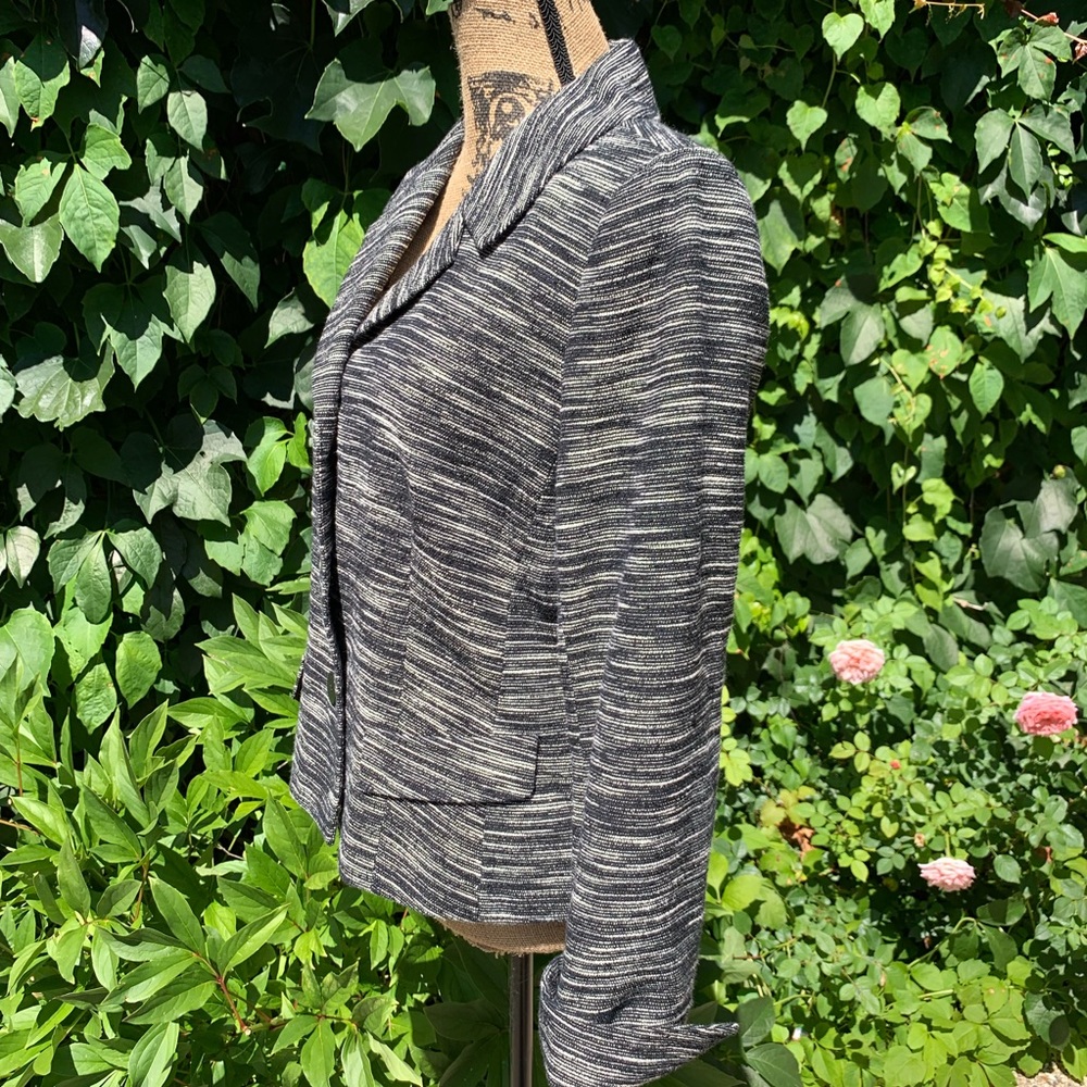 AUTHENTIC LAFAYETTE 148 Notched Lapel Blazer, L - Picture 7 of 8